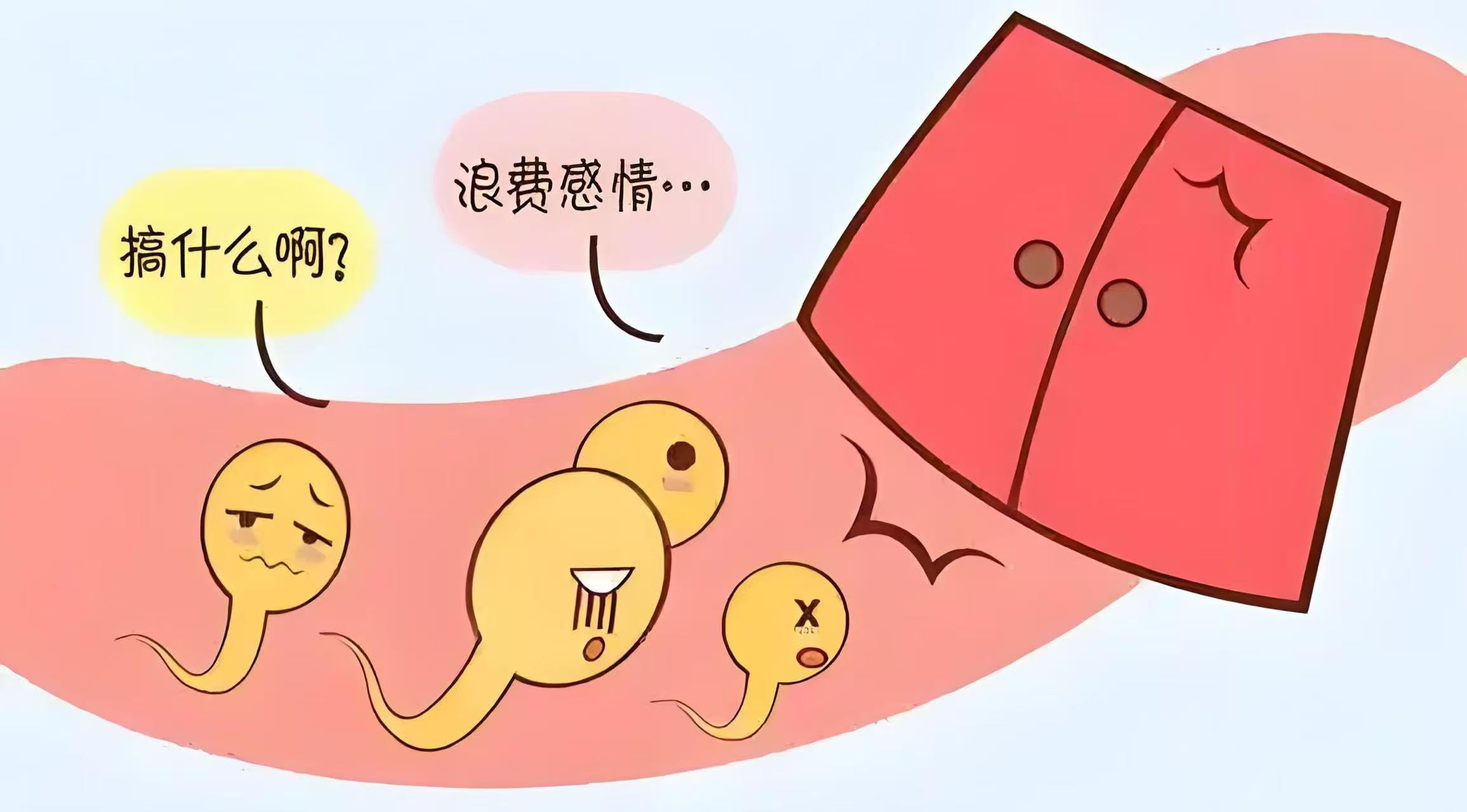 微信图片_20250521091134.jpg