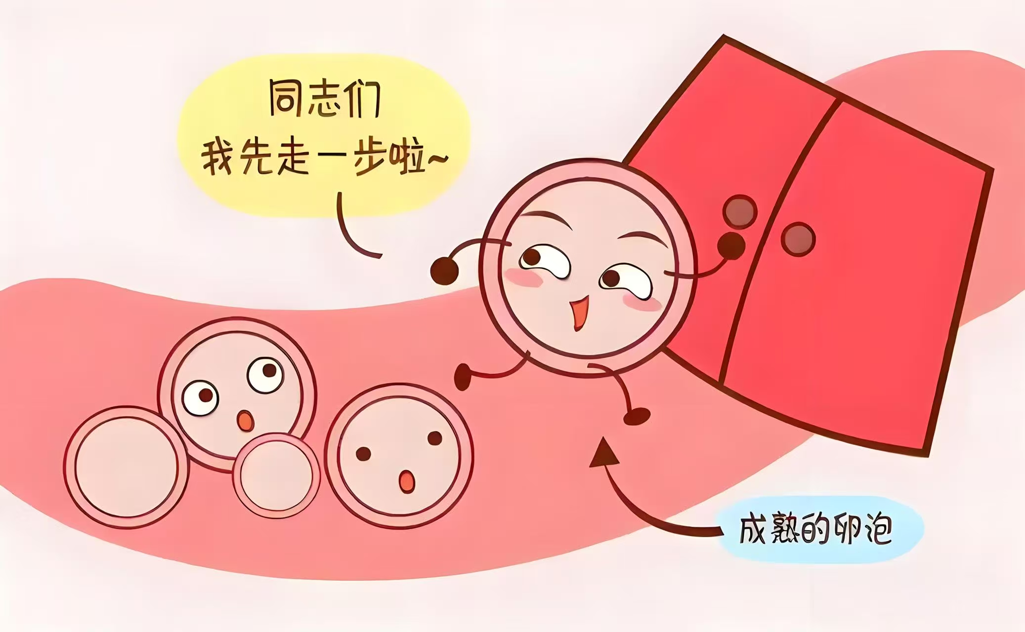 微信图片_20250521091408.jpg