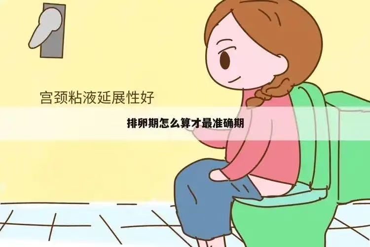 微信图片_20250521091256.jpg