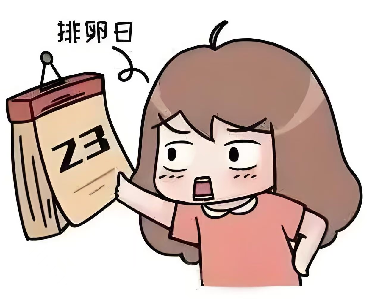微信图片_20250521091200.jpg